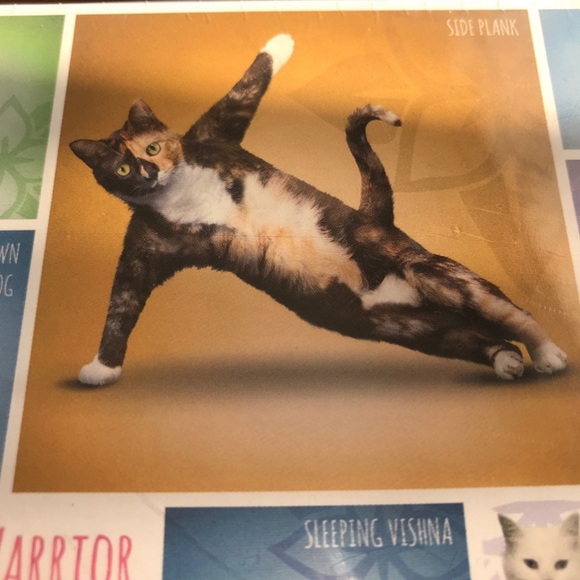 Yoga Cats 1000 pcs high quality puzzle - Picture 4 of 8